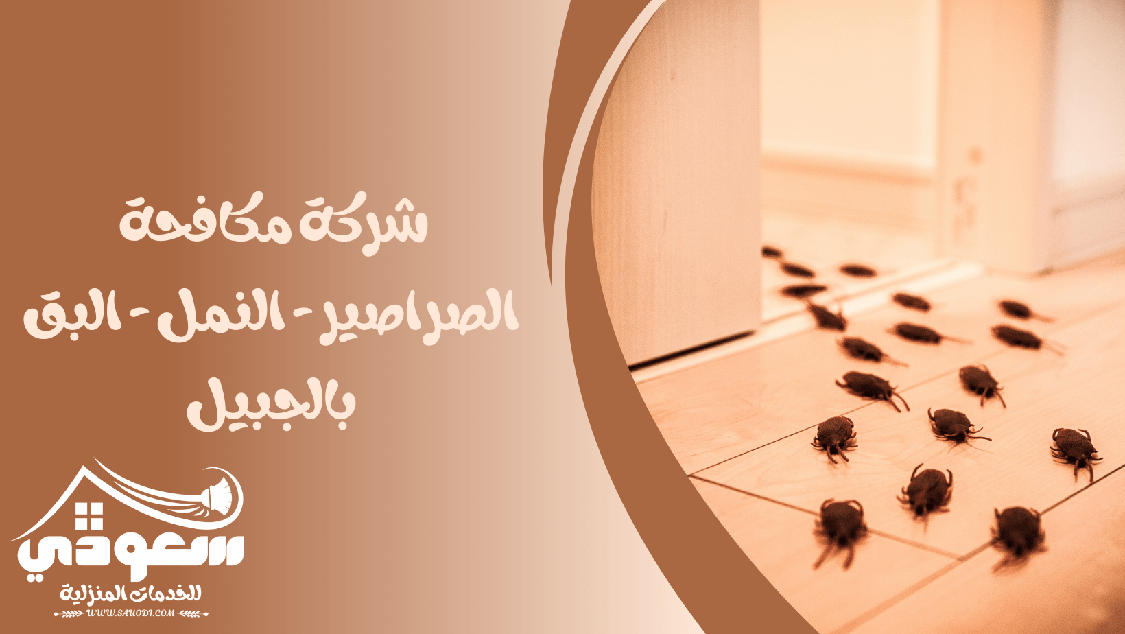 مكافحة النمل والبق والصراصير بالجبيل